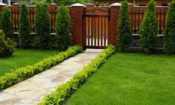 Sed blandit massa vel